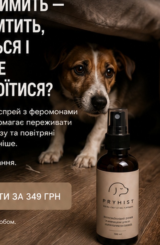 Собака ховається під ліжком через гучні звуки